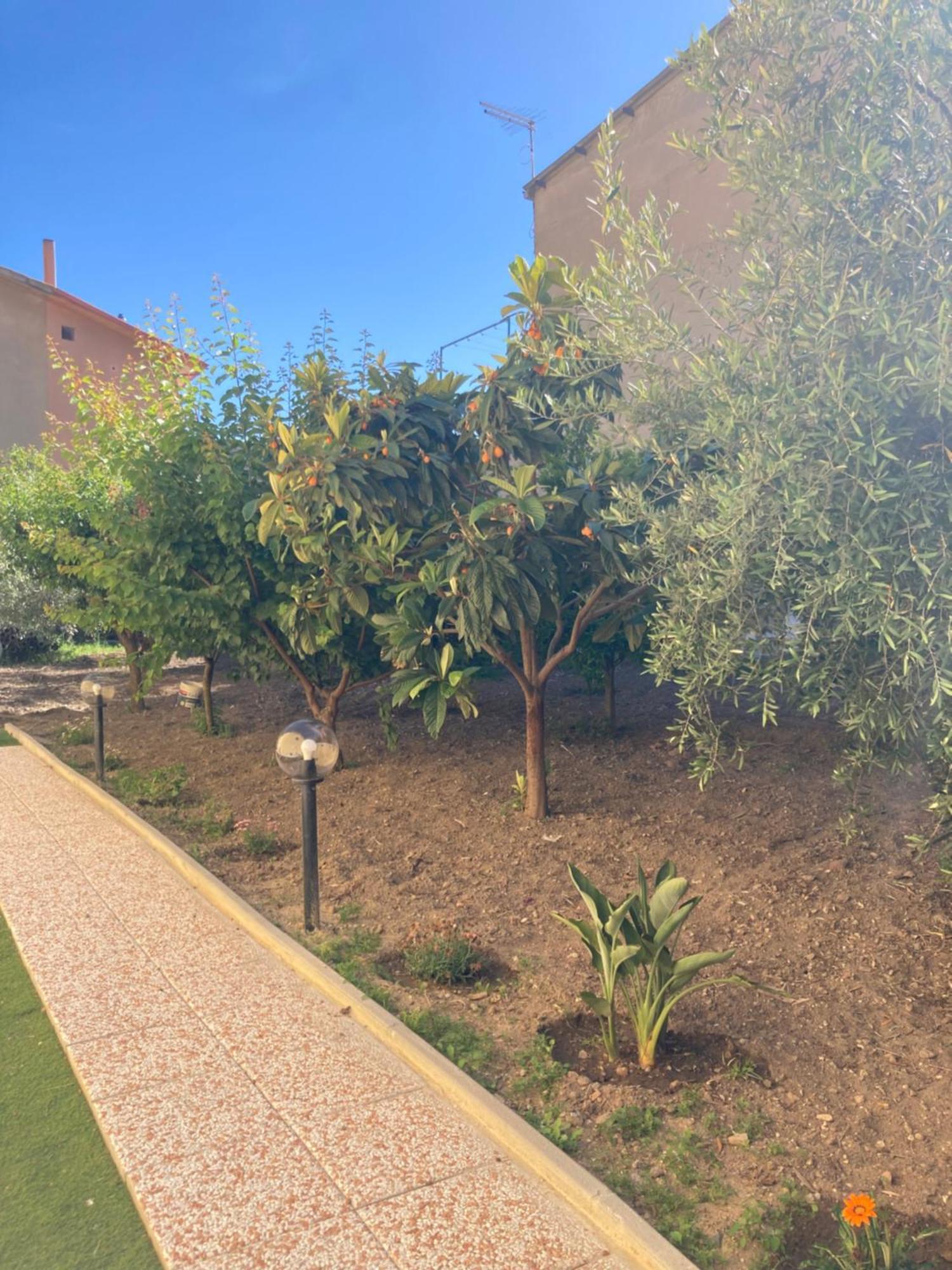 Casa Vacanze Il Giardino Villamassargia エクステリア 写真